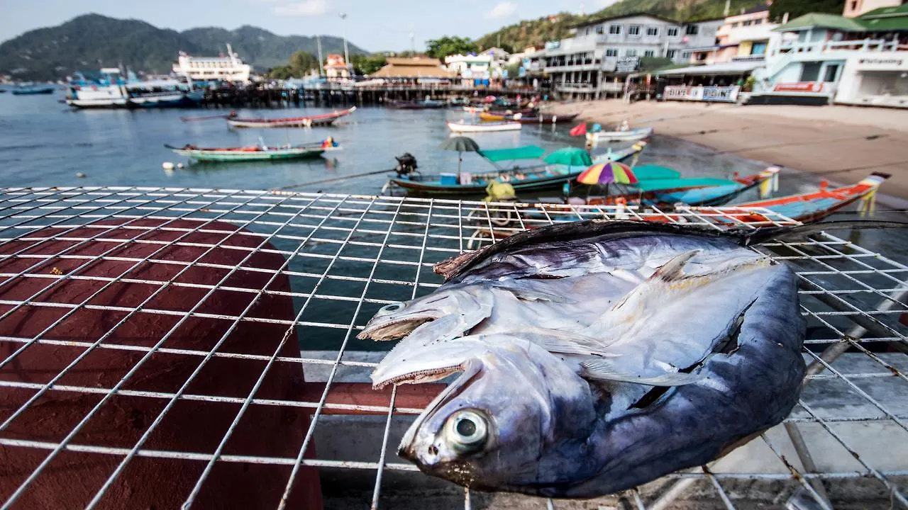 Ava Boutique Guesthouse Ko Tao 0*,  Tailandia